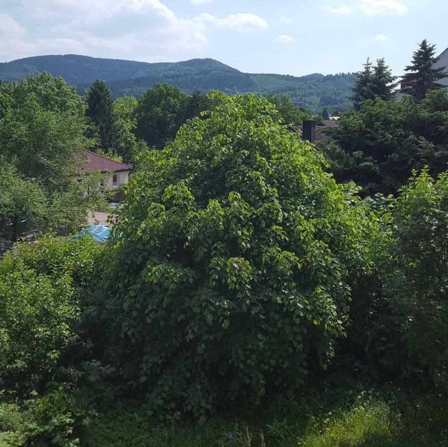 Ferienwohnung Wolfshagen Langelsheim Exterior foto