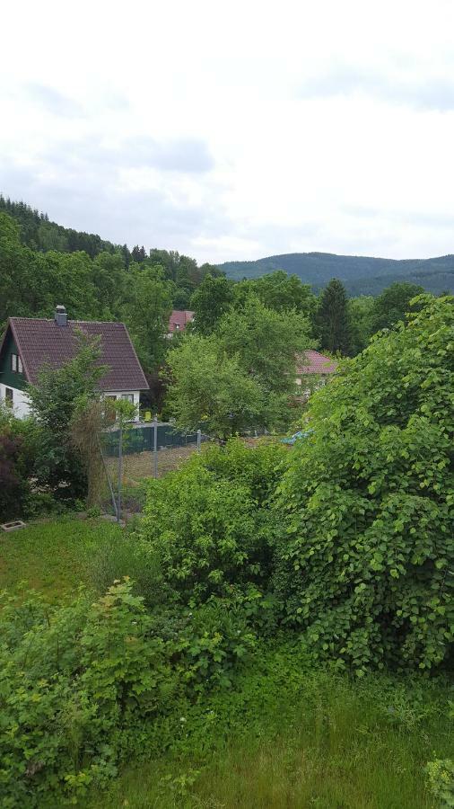 Ferienwohnung Wolfshagen Langelsheim Exterior foto